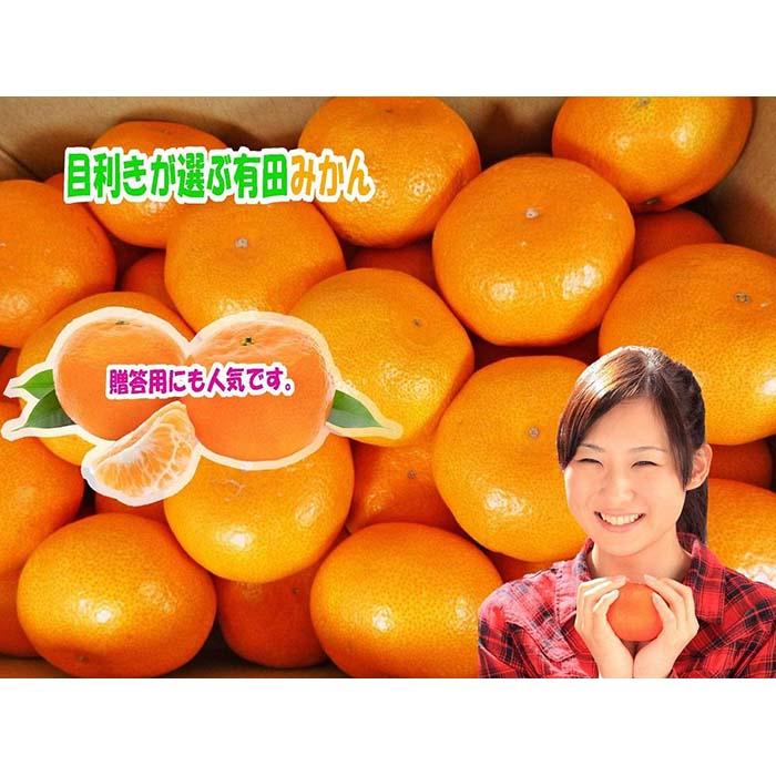 【ふるさと納税】Lサイズ5kg 目利きが選ぶ有田みかん