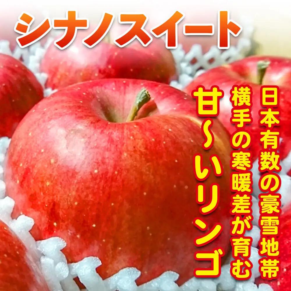 【先行受付 10月下旬より発送】りんご シナノスイート 約3kg （8～11玉）