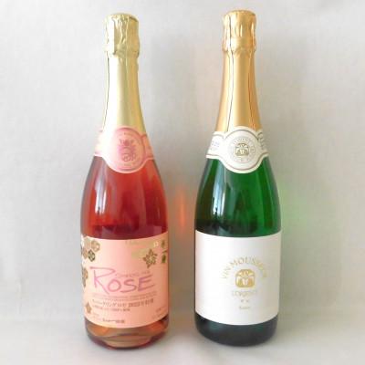ふるさと納税 山梨県 山梨県産スパークリングワイン2本セット(ロゼ、ヴァン・ムスー甲州)