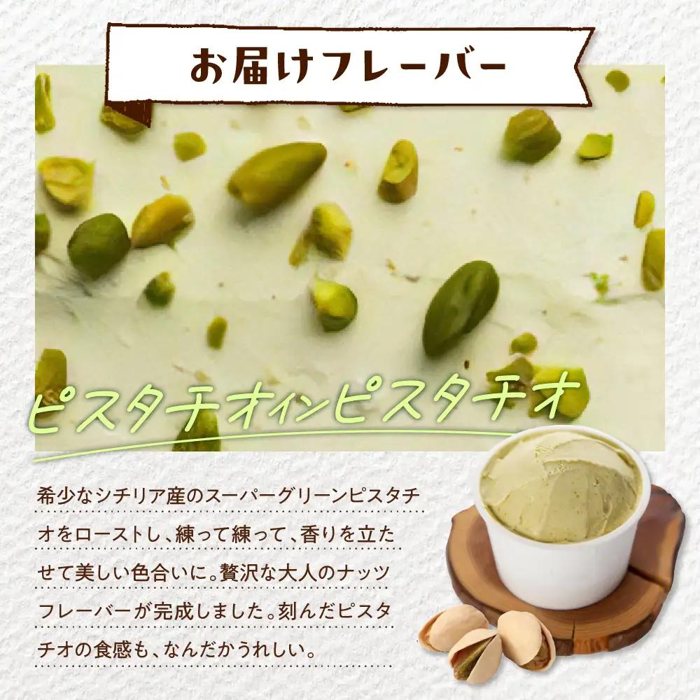 E.den豊富牛乳ジェラート ピスタチオインピスタチオ 12個 