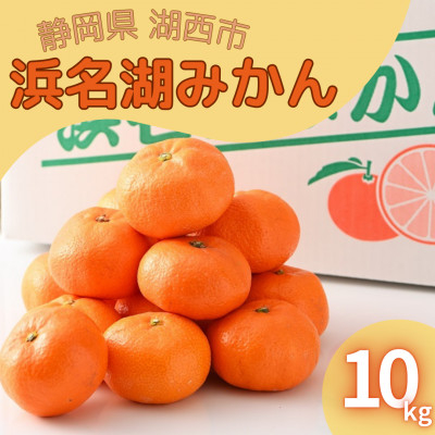 
                  ＜2025年12月発送＞浜名湖の「普通温州みかん」10kg【1537443】
                