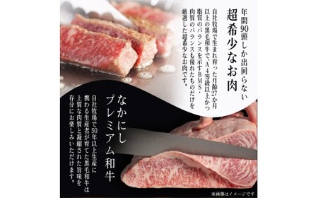 宮崎県西ノ原牧場・なかにしプレミアム和牛サーロインステーキ 540g（国産 牛肉 肉 宮崎牛 黒毛和牛 お肉 サーロインステーキ なかにし和牛 ステーキ)