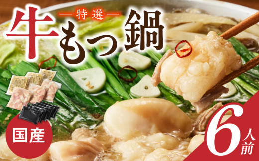 博多名物 国産牛 特選もつ鍋 醤油味 6人前セット_Cn130