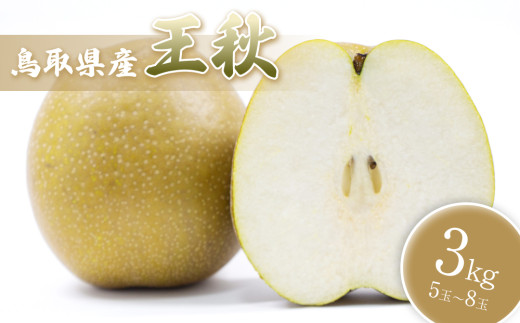 【先行予約】中野農園 梨 ”王秋梨” 3kg箱｜鳥取 岩美 梨 なし ナシ  赤梨 果物 フルーツ【41016】