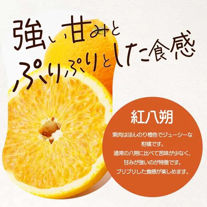 紅八朔 5kg 《2027年2～3月発送予定》栽培期間中 防腐剤 ワックス 不使用 おくはち農園 旬 柑橘 かんきつ はっさく フルーツ 果物 瀬戸内 166029 