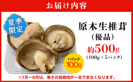 ＜夏季限定 原木生しいたけ（優品） 100g×5パック＞『2026年5月～10月に順次出荷予定』 合計500g 数量限定 期間限定 夏採れ 原木生椎茸 しいたけ シイタケ きのこ 優品 バーベキュー 