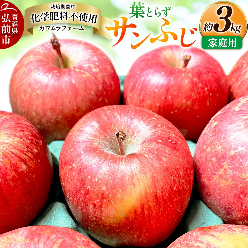 【ふるさと納税】【寄附金額見直しました】りんご 葉とらず サンふじ 約3kg カワムラファーム 家庭用 青森 果物 フルーツ 林檎 リンゴ くだもの