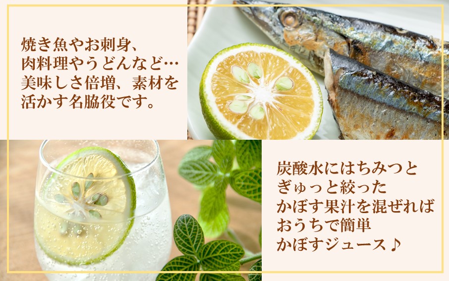 【先行予約】素材を活かす名脇役 大分県産かぼす1.8kg_2254R