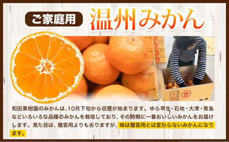 ご家庭用 温州みかん 10kg (S～Lサイズ混合) 和田果樹園《11月上旬-2月上旬頃出荷》 和歌山県 紀の川市 みかん ミカン 果物 フルーツ 温州みかん ご家庭用 送料無料