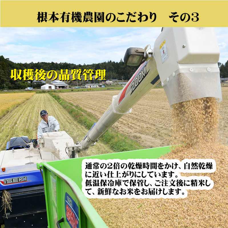 【令和6年産】南相馬・根本有機農園のJAS有機米天のつぶ5kg（白米）