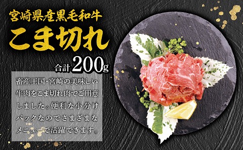 宮崎牛 ウデ スライス 400g×2 宮崎県産 黒毛和牛 こま切れ 100g×2 合計1kg |牛肉 牛 肉 ウデ スライス 黒毛和牛 こま切れ