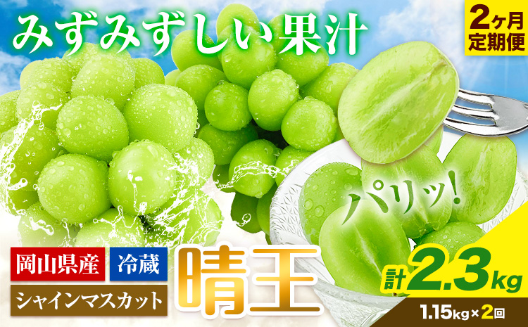 ぶどう 2ヶ月 定期便 [2025年先行予約] シャインマスカット 晴王 約1.15kg 岡山県産《9月上旬-10月末頃(土日祝除く)》 ハレノフルーツ マスカット 送料無料 岡山県 浅口市 フルーツ 果物 贈り物 ギフト 国産 岡山県産 くだもの【配送不可地域あり】（北海道・沖縄・離島）