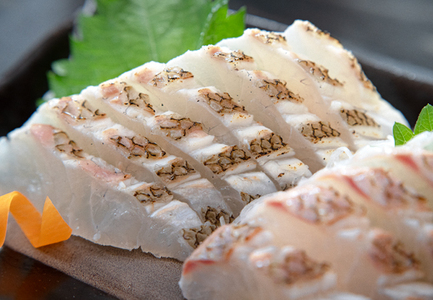 【高知県 大月町産】 黒潮の海で育った真鯛のフィーレ(皮付き)