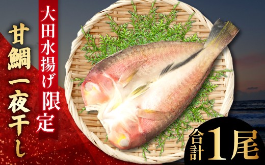 「一日漁」で獲れた鮮度のよい、大きな甘鯛です！