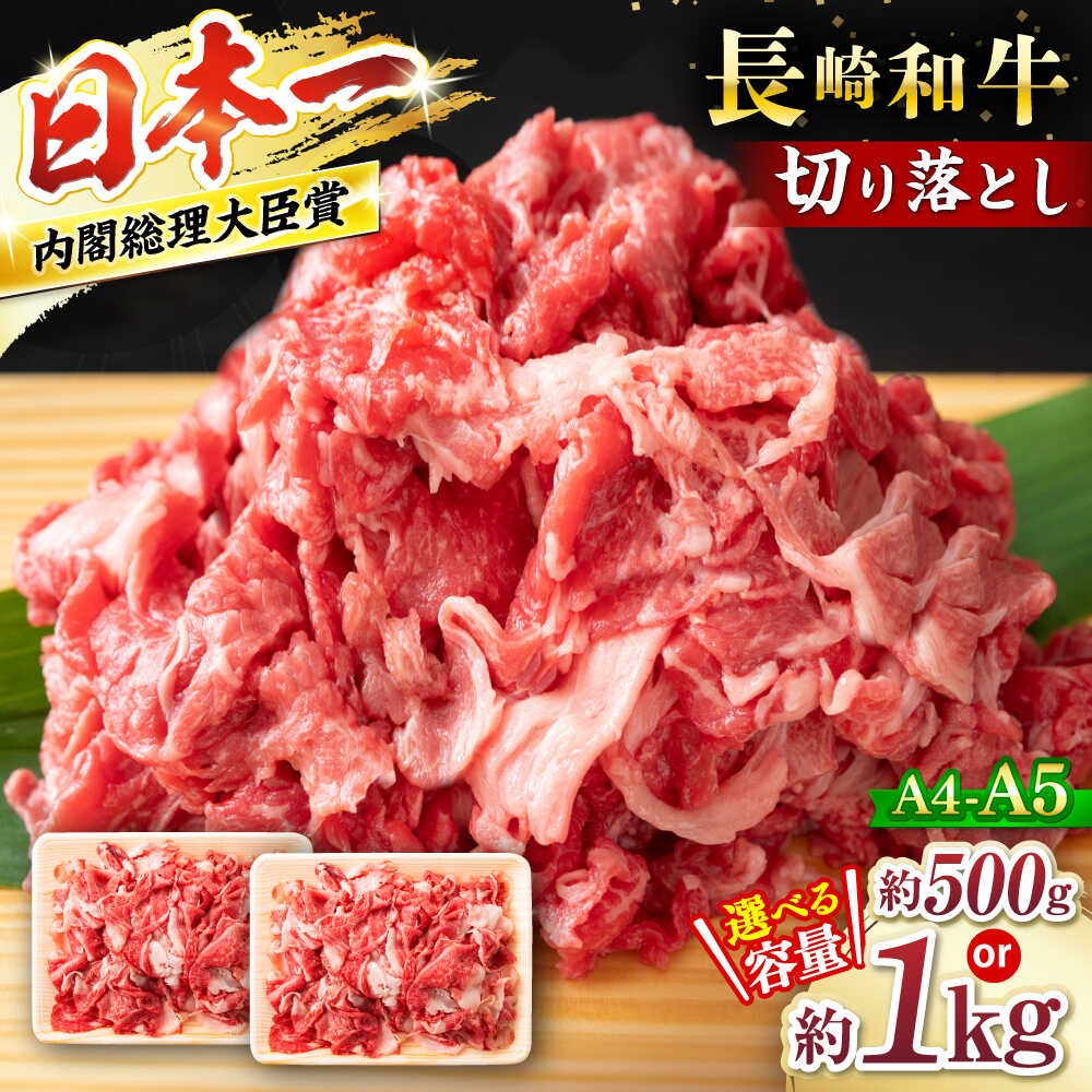 【ふるさと納税】【☆選べる容量☆】A4〜A5 長崎和牛 切り落とし＜株式会社MEAT PLUS＞[CFT003] 長崎 西海 和牛 牛肉 切り落とし カレー 肉じゃが 切り落とし 10000円 一万円 1万円 1kg