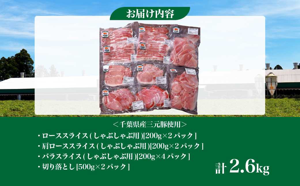 千葉県産豚肉　元気豚 精肉4種セット【大盛り】　2.6kg【配送不可地域：離島・沖縄県】 TAKB022