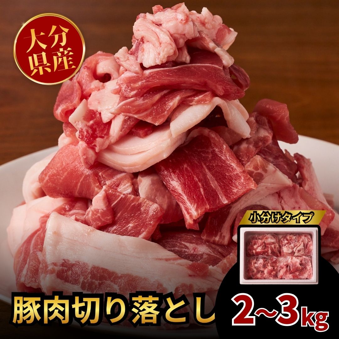 【ふるさと納税】豚肉 切り落とし 選べる2kg / 3kg (1袋500g）小分け 使いやすい 豚肉詰め合わせ 国産 切落し 便利 大分県 豊後高田 ふるさと納税 送料無料 冷凍 【スピード発送】