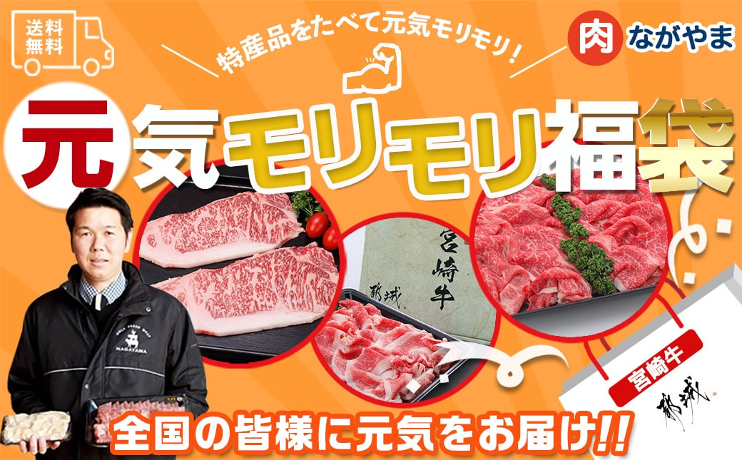 
【元気モリモリ福袋】宮崎牛切り落とし・鉄板焼き用サーロイン2枚セット_AE-2501_(都城市) A4 4等級 牛肉 牛バラ切り落とし肉 牛ウデ 牛モモ切り落とし肉 各500g
