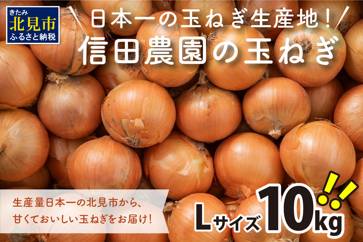 
【予約】日本一の玉ねぎ生産地！信田農園の玉ねぎ 10kg Lサイズ ( 信田農園 野菜 玉ねぎ 玉葱 たまねぎ タマネギ 10キロ 北見のたまねぎ オニオン 野菜 甘い ふるさと納税 )【124-0006-2024】
