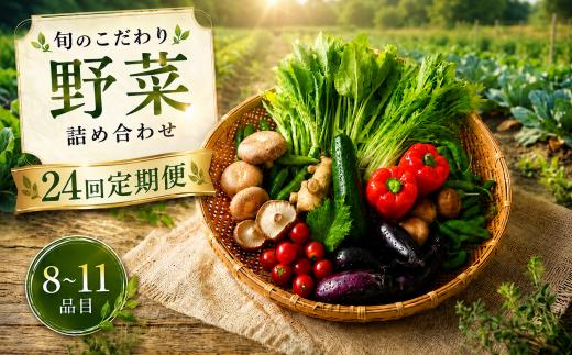 【24回定期便】 こだわりの新鮮野菜セット 8~11品目 | 野菜セット 新鮮 野菜 季節の野菜 おすすめ 高知県 南国市