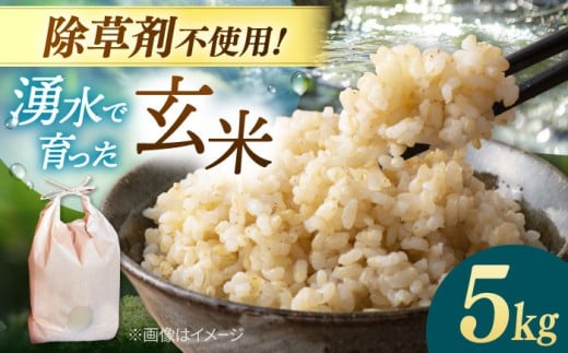 玄米 5kg 令和7年産 ▼ 除草剤不使用 玄米 5キロ 米 お米 米 こめ コメ 玄米 米 コメ 玄米 ゲンマイ 福岡県産 九州 米 玄米 ご飯 ごはん ゴハン 未精米 除草剤不使用 okome rice こめ コメ 玄米 ごはん げんまい genmai おにぎり自然 ふるさと納税 こだわり おすすめ 人気 ランキング 通販 お取り寄せ 福岡 桂川町/NOGAMI FARM　[ADAU009]
