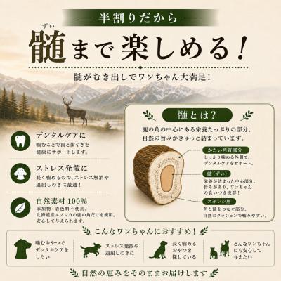 ふるさと納税 北見市 北海道産エゾシカ 鹿の角 Mサイズ 半割り2本セット 約15cm 小型犬・中型犬用 |  | 01