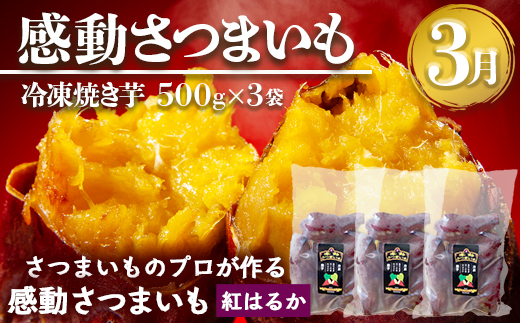 定期便 年4回 農家の感動シリーズA ( 冷凍焼き芋 ゴールドラッシュ 塩茹で落花生  紅はるか )