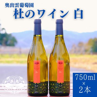 ふるさと納税 雲南市 杜のワイン白 750ml×2本 辛口ワイン 白ワイン2本セット