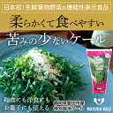 【ふるさと納税】【毎月定期便】やわらかくて食べやすい苦みの少ないケール【静岡県磐田市産 特別栽培】全12回【配送不可地域：離島】【4003773】