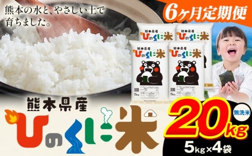 【6ヶ月定期便】 無洗米 ひのくに米 20kg 《お申込み翌月から出荷》 食品 米 こめ コメ 熊本県産 ふるさと納税 お米 おこめ 熊本