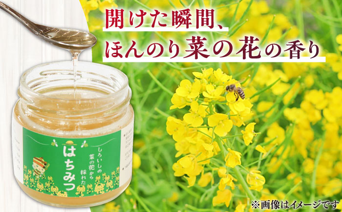 【白石町産】【糖が多くクリーミー】菜の花はちみつ 150g×2個[IAA020]