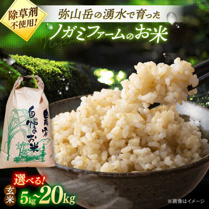 【ふるさと納税】【新米 令和7年産】玄米 5kg 10kg 20kg ノガミファームの玄米 ▼ おすすめ 人気 ランキング 高評価 福岡県産 九州 米 お米 玄米 ご飯 ごはん ゴハン 精米前 未精米 農家直送 5kg 10kg 20kg 桂川町/NOGAMI FARM[ADAU008] 10000 10000円 1万円 以上