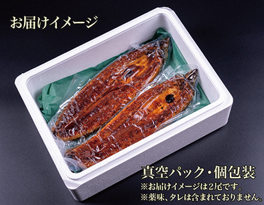 国産！特上うなぎのかば焼き 約250g × 2尾