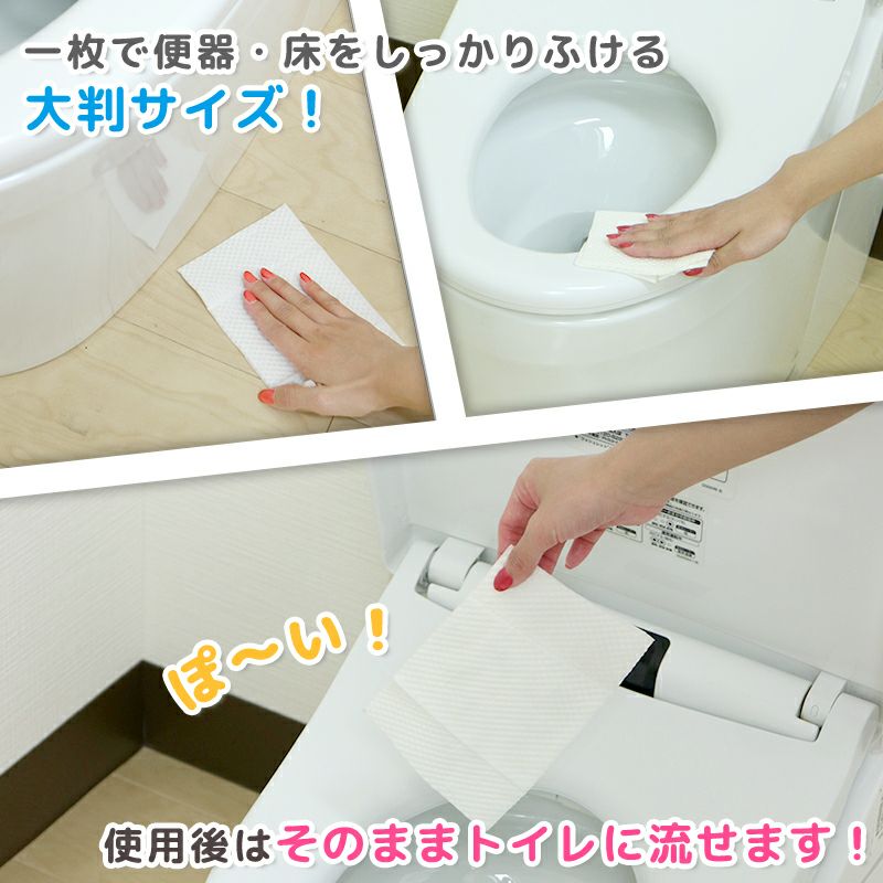 【ふるさと納税】【3か月定期便】ＧＮ超厚流せるトイレクリーナー大判 12枚×2パック×20袋×3か月 トイレクリーナー  クリーナー 大判サイズ 除菌 消臭 銀イオン アルコール トイレに流せる トイ