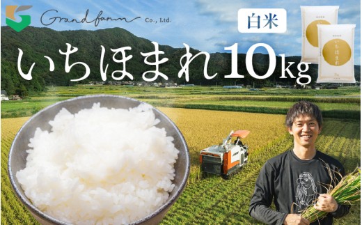 【先行予約】令和8年産 新米 いちほまれ 白米 10kg (5kg×2袋)【2026年10月上旬以降順次発送予定】精米 福井県 美浜町産 白米 こめ コメ お米 おこめ 5キロ 10キロ おすすめ [m46-c004]