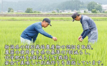 【令和8年産】新潟県産 もち米『こがねもち』3kg 令和8年産 ふっくらモチモチ！ 芳醇な甘い香り 磯貝農場【ふるさと納税 米 ブランド米 餅 赤飯 おこわ 糸魚川 2026年産】