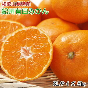 【2026年先行予約】【秀品】 和歌山 有田みかん 6kg（3Lサイズ・秀品）_ZD6395