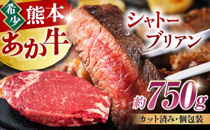 
                  【令和8年熊本地震復興支援】熊本 あか牛 ヒレ肉 希少部位 シャトーブリアン 約750g（4～5枚）/ シャトーブリアン しゃとーぶりあん シャトーブリアンステーキ ステーキ ヒレ フィレ ヘレ 牛ヒレ 希少部位 あか牛 赤牛 あかうし 和牛 牛肉 ぎゅうにく wagyu 高級 やわらかい ジューシー 冷凍 熊本 熊本県 九州【合同会社 たべたせいか】 [AYCB050]
                