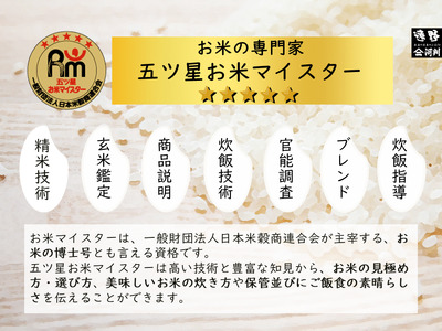 【 定期便 3回 】 銀河のしずく  5kg  遠野産 米【 五つ星 お米マイスター 厳選 】【 コメマルシェ 河判 】