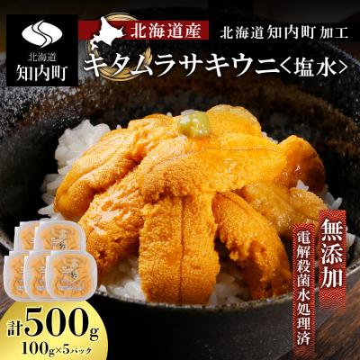ふるさと納税 知内町 ☆北海道産☆塩水キタムラサキウニ 贅沢100g×5パックセット マルタカ高橋商店