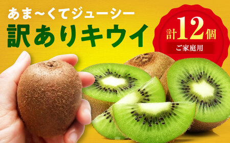 キウイ 訳あり（10個）【11月上旬から順次発送】キウイ[AGDC006]