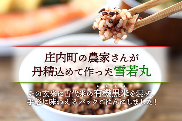 【定期便】雪若丸 玄米 パックごはん 160g×12個×6ヶ月 毎月お届け 有機黒米入り 山形県庄内町産 保存食 非常食 備蓄 防災 レンジで2分 レンチン 時短 簡単調理 ローリングストック【9月中