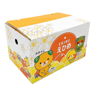 【せとか】【2027年2月下旬頃から順次発送】 松山市中島産 せとか 無地 M～3Ｌ2.5kg 愛媛県松山市【FA0791】