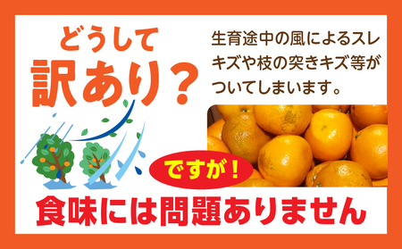 訳あり温州みかん　約5㎏_mk059-028