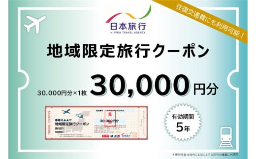 大分県 日本旅行 地域限定旅行クーポン (30,000円分) 観光 旅 旅行 宿泊 ホテル 旅館 温泉 おんせん 【am002】【日本旅行】