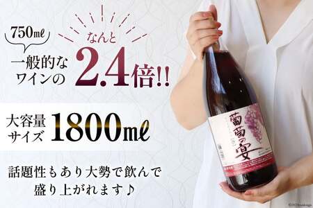 ワイン 赤ワイン 葡萄の宴 1.8L×3本