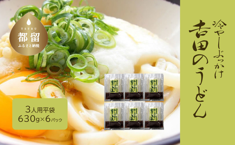 
冷しぶっかけ吉田のうどん3人用平袋×6パック【平井屋】
