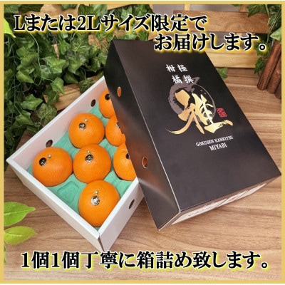極撰柑橘【雅】光センサー合格品・柑橘の大トロ「 せとか 」約2キロ　【C39−47】【配送不可地域：離島】【1380610】
