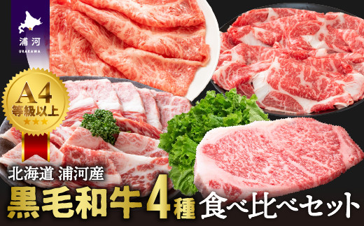 
A4等級以上！「北海道浦河産黒毛和牛」4種食べ比べセット(計900g)[28-1150]
