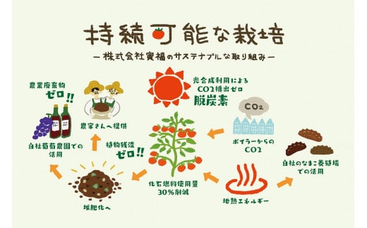 北海道産 上ノ国町寅福菜園の高リコピントマト「サステナブルトマト」　4㎏